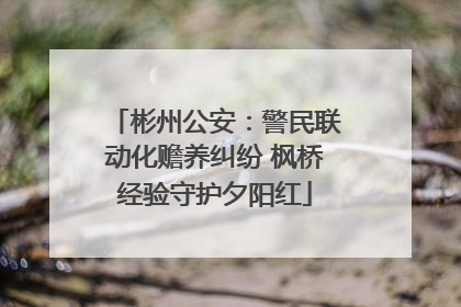 彬州公安：警民联动化赡养纠纷 枫桥经验守护夕阳红